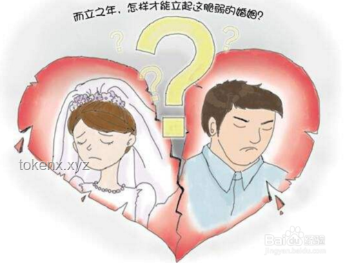夫妻为二胎儿子姓氏选择引发的离婚争议：多维度对比分析